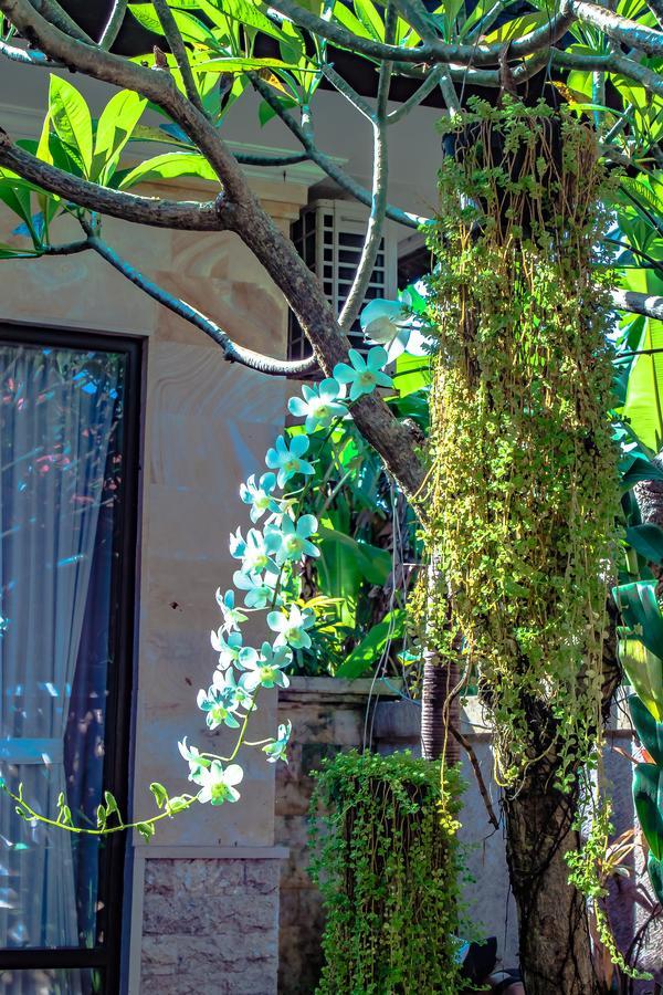 Villa Impian Canggu Buitenkant foto