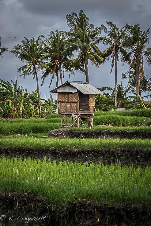 Villa Impian Canggu Buitenkant foto